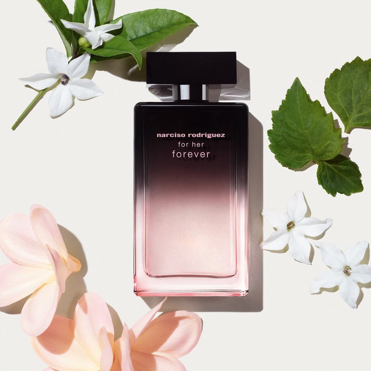 For Her Narciso Rodriguez - Incenza