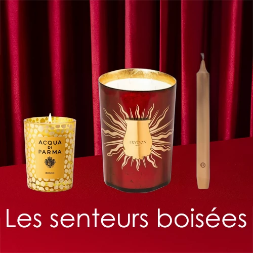Les Senteurs Boisées de Noël - incenza