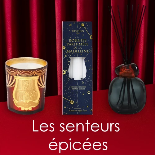 Les senteurs épicées de Noël - incenza