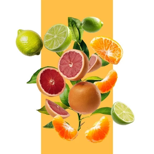 La Famille Hespéridée - incenza