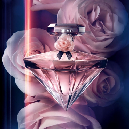 La Nuit Trésor Eau de Parfum Caresse, la première Rose Caresse.