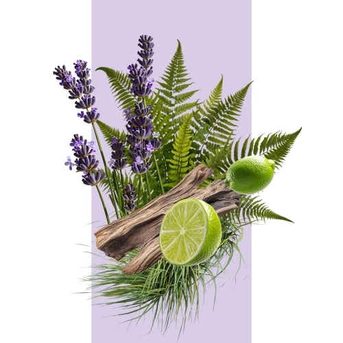 La Famille Fougère - incenza