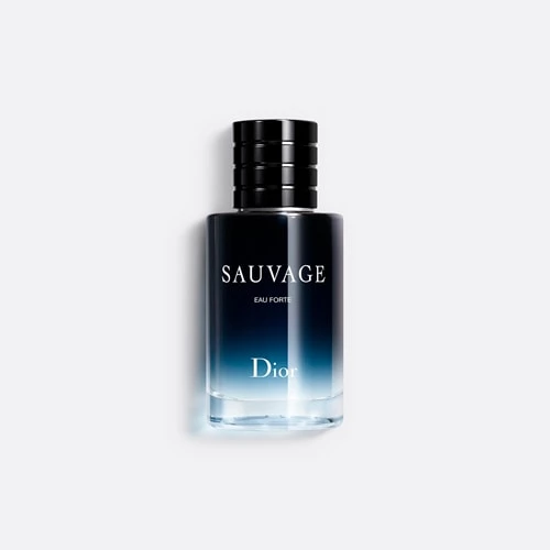 Les Parfums pour Homme Dior - incenza