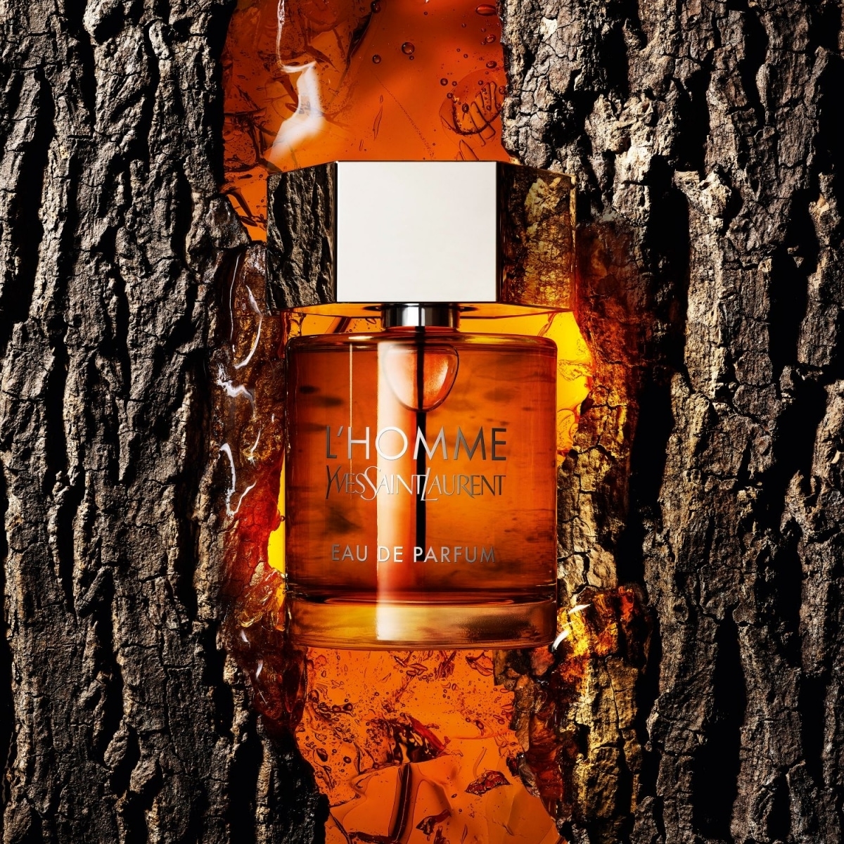 L’Homme Eau de Parfum Yves Saint-Laurent, une Nouvelle Liqueur