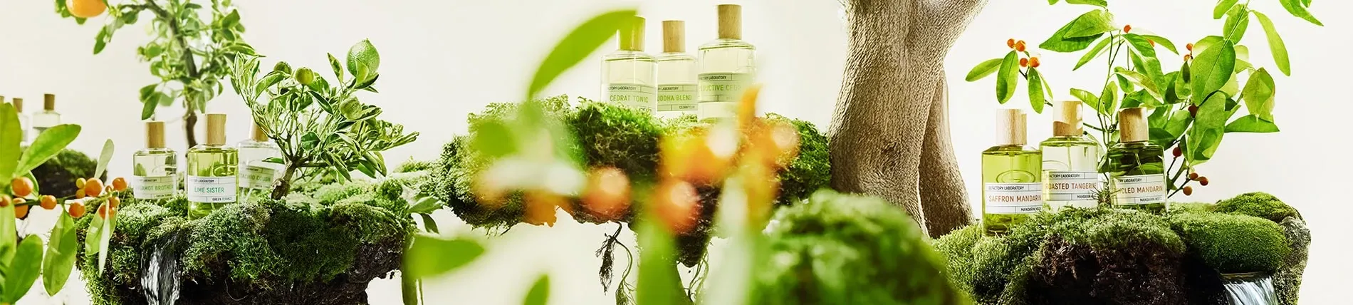 Imaginarium Collection LIQUIDES IMAGINAIRES