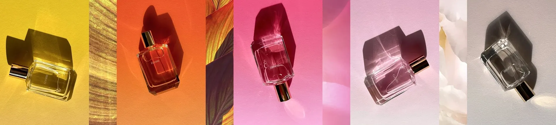 Collection Première ÉLISIRE