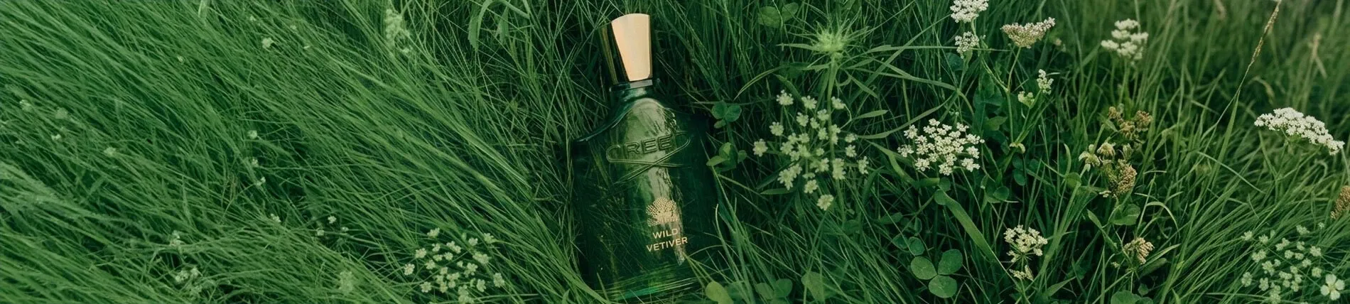 Wild Vetiver Eau de Parfum CREED
